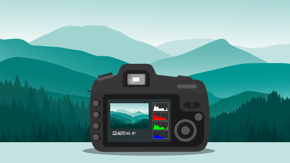camera settings, how to get it right in camera, DSLR, Digital camera, histograms, manual photography, photography tips