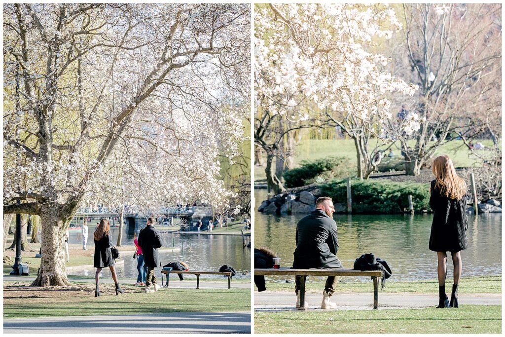 Boston Public Garden proposal in the spring