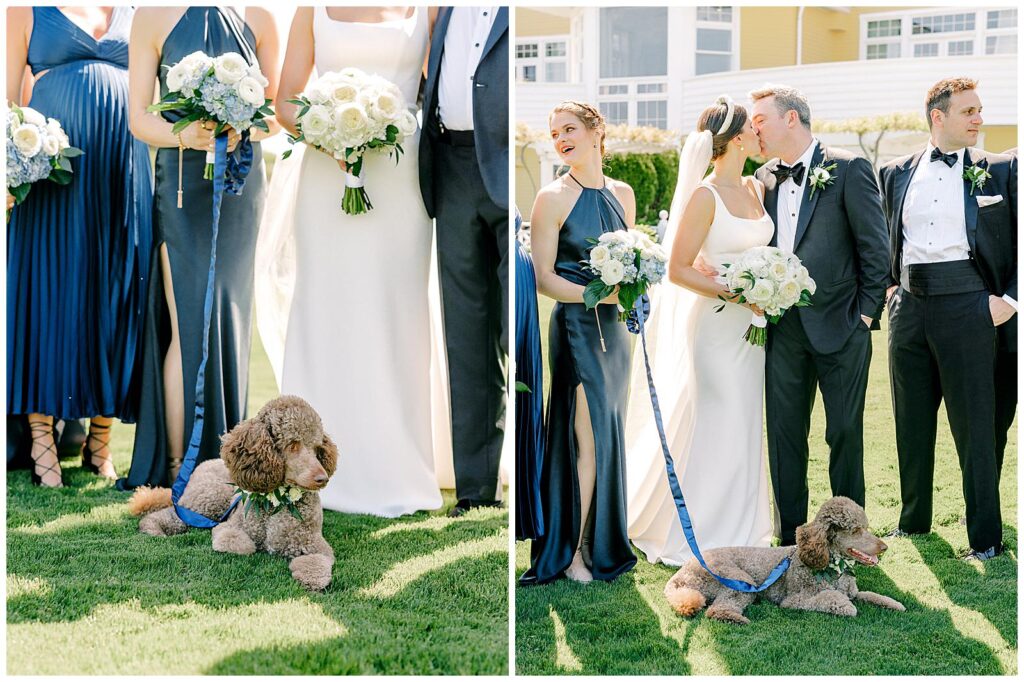 Bride and groom's dog at Ocean House 
