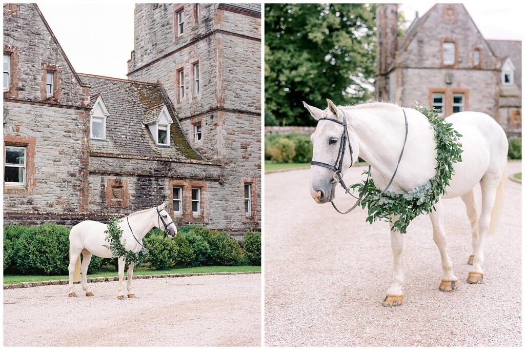Castle Leslie Estate equestrian horse