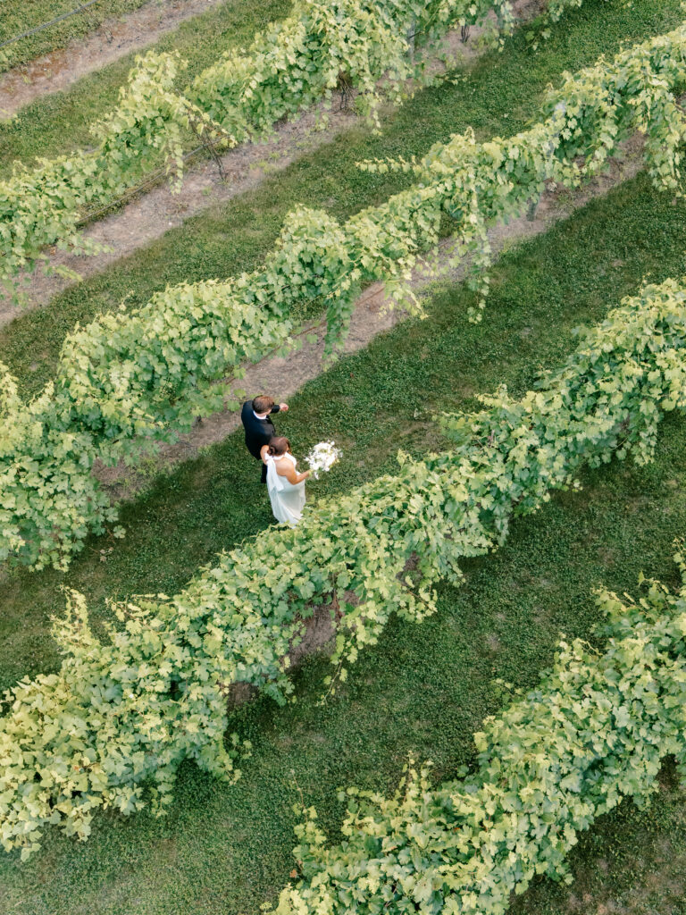 Vineyard Wedding Golden hour photo Inspiration