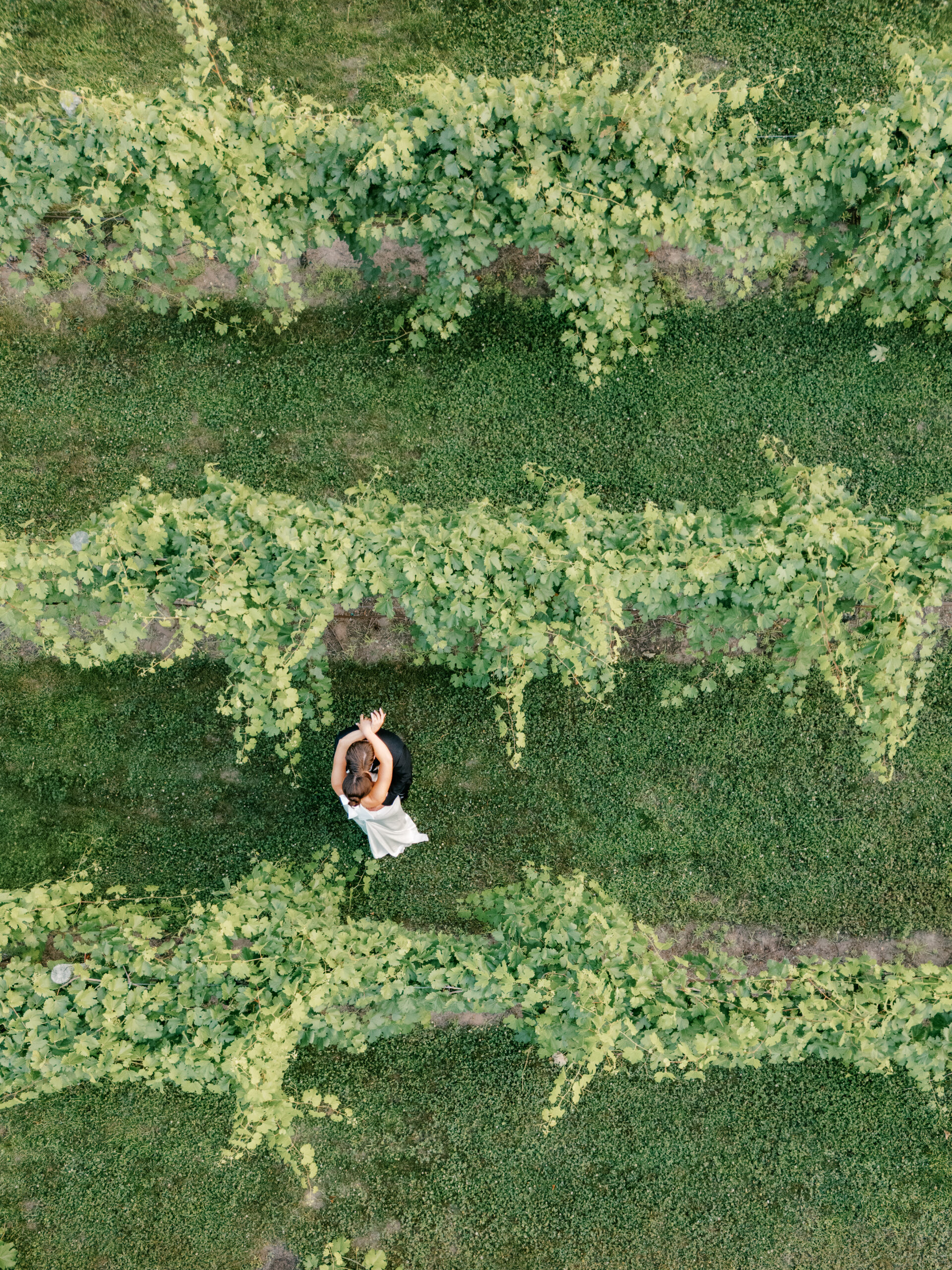Drone photo of a bride and groom in a vineyard lane.